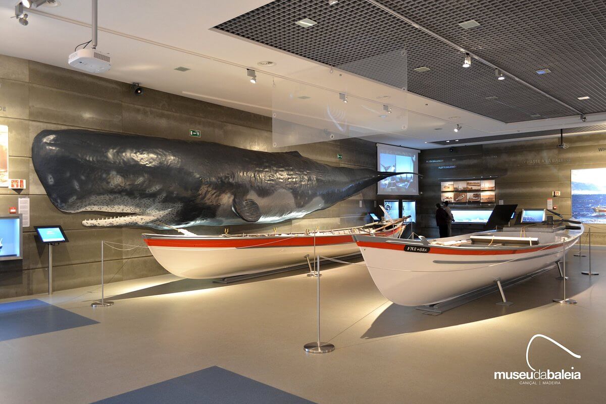 Intérieur du Musée de la Baleine à Caniçal